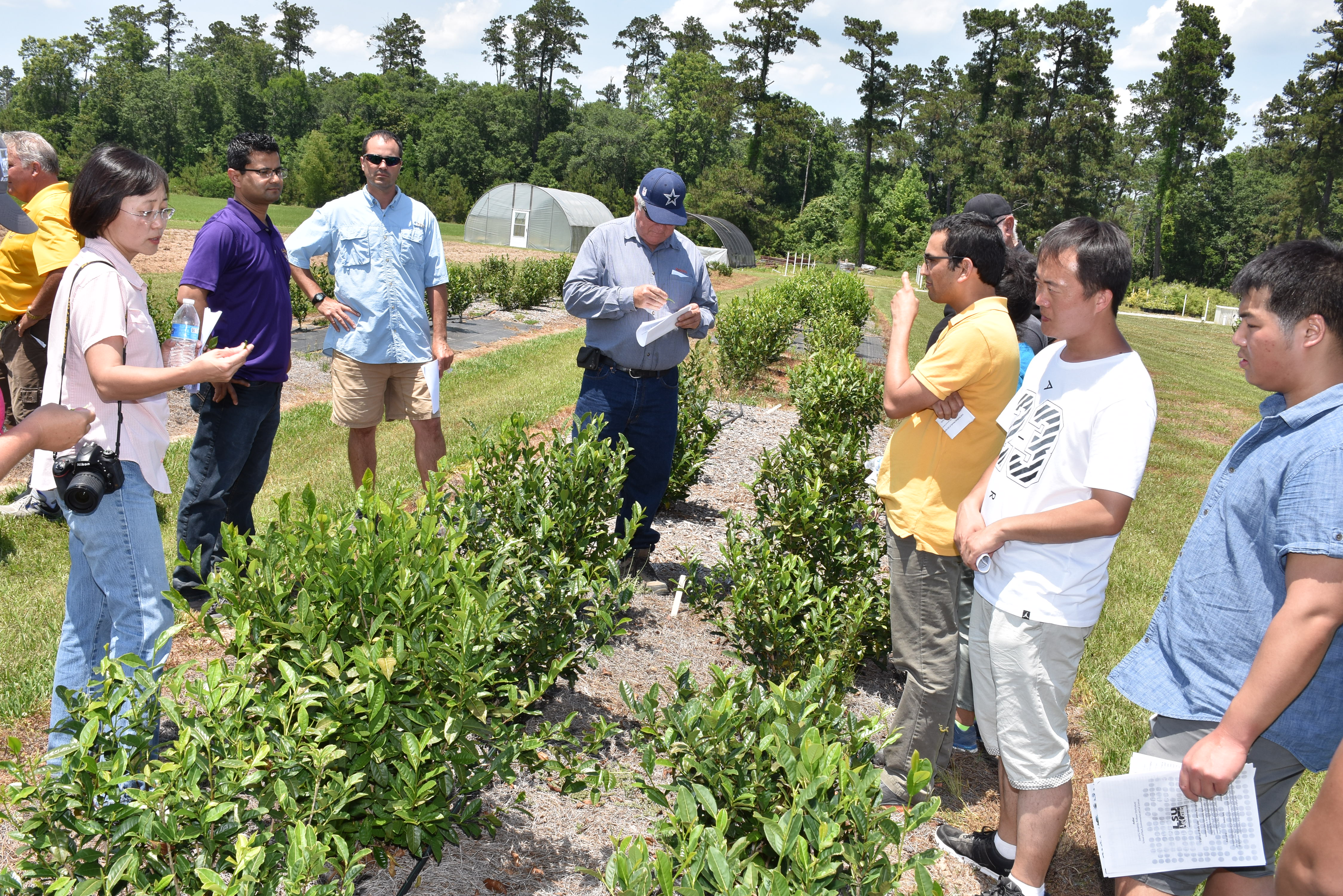 AgCenter scientists awarded specialty crop grants